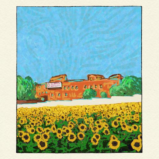 Sunflower field with building