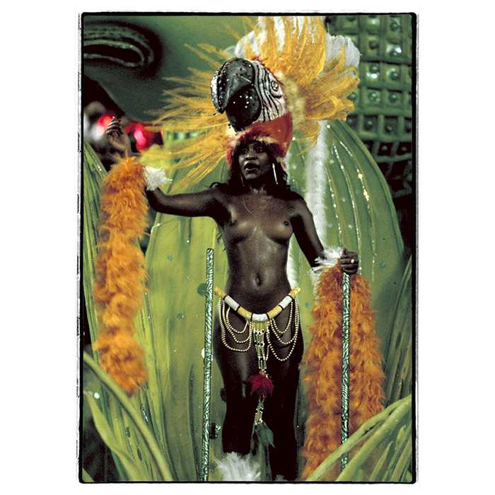 Rio Carnival: portrait of a participant