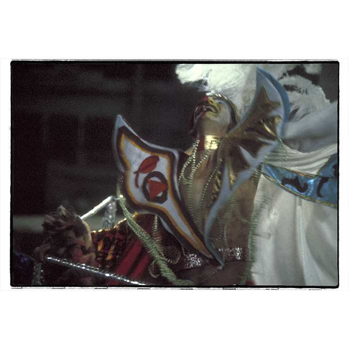 Rio Carnival: portrait of a participant