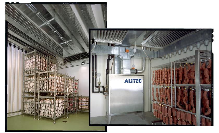 Conditioning air equipment for salami processing