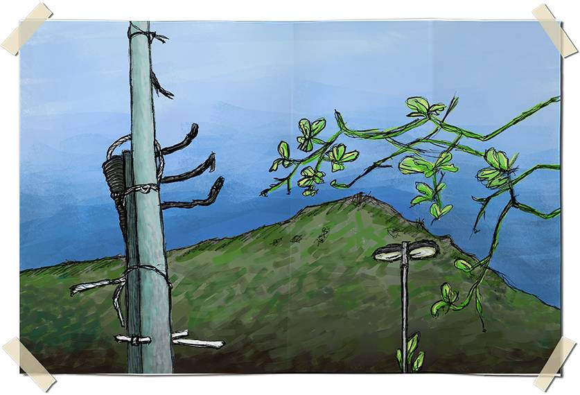 Digitally colored graphite drawing - Hill and poles in Leme - Rio de Janeiro, Brazil