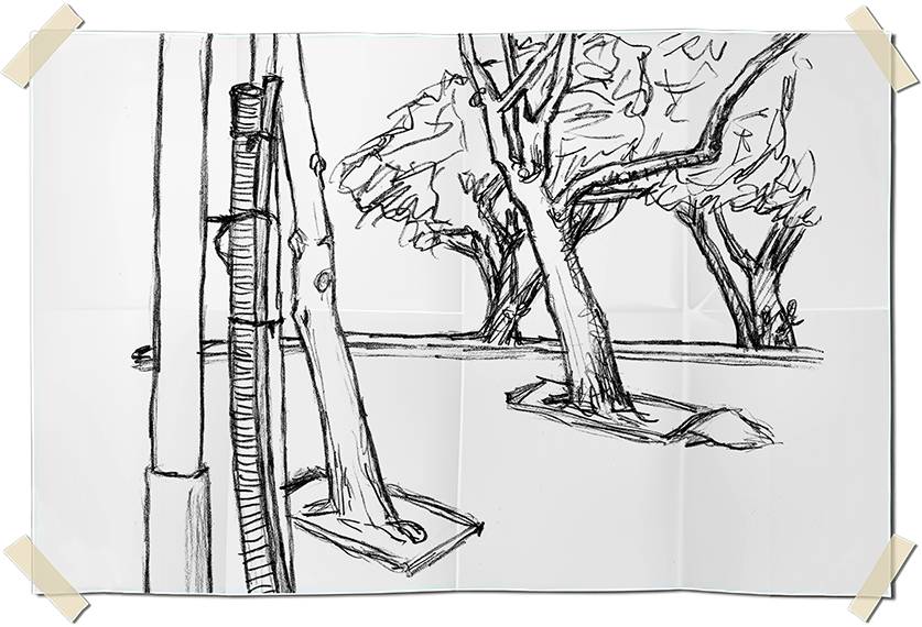 Graphite drawing - leaning trees in Leme - Rio de Janeiro, Brazil