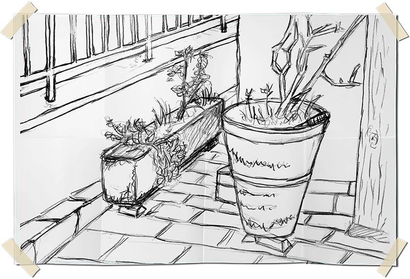 Graphite drawing - pots and dried flowers
