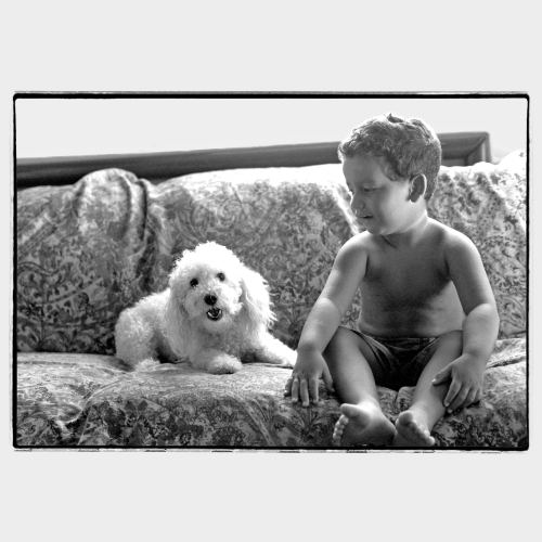 Little white dog with young kid on a sofa